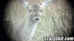 松山協和病院口コミ